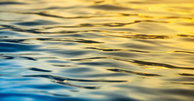 Low Force Chiropractic Care