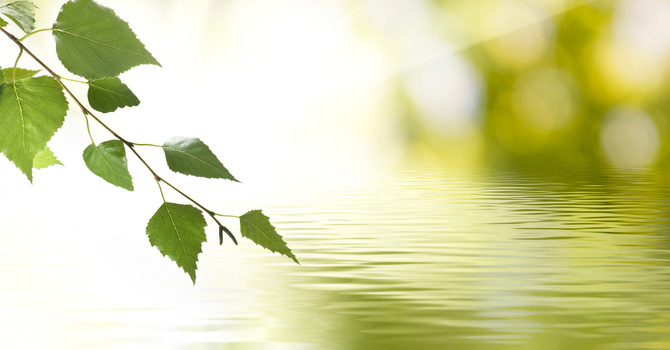 Low Force Chiropractic Care